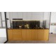 C10 ALPİ TEAK GOLDEN